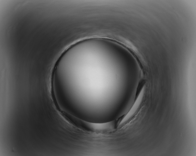 X0000088471512200705291539