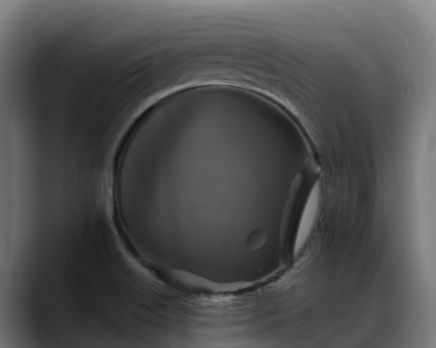 X0000088471515200705291539