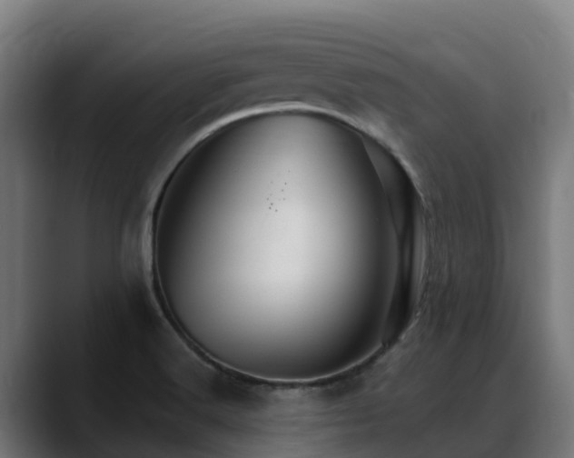 X0000088471516200705291539