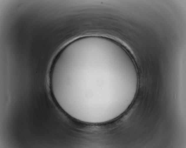 X0000088471517200705291539