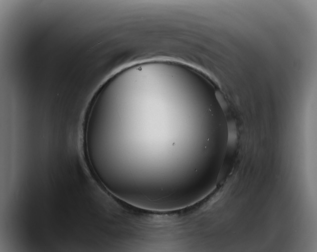 X0000088471518200705291539