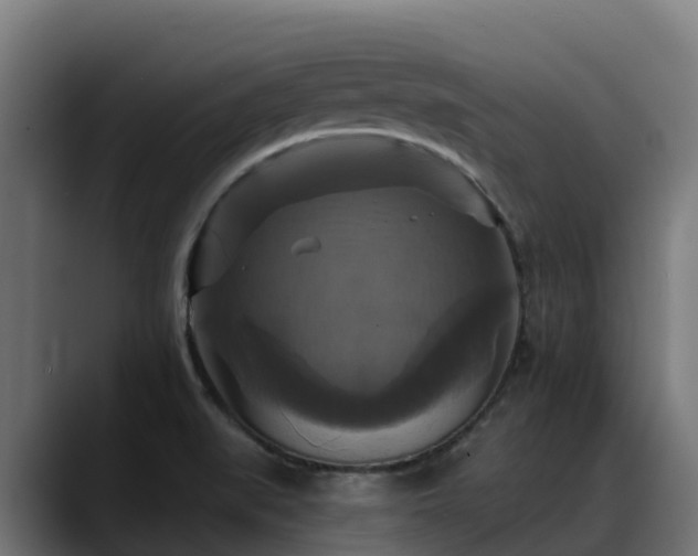 X0000088471519200705291539