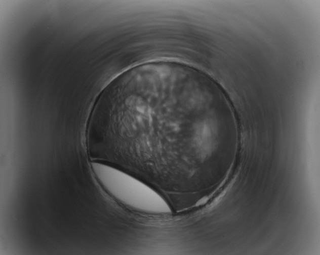 X0000088471521200705291539