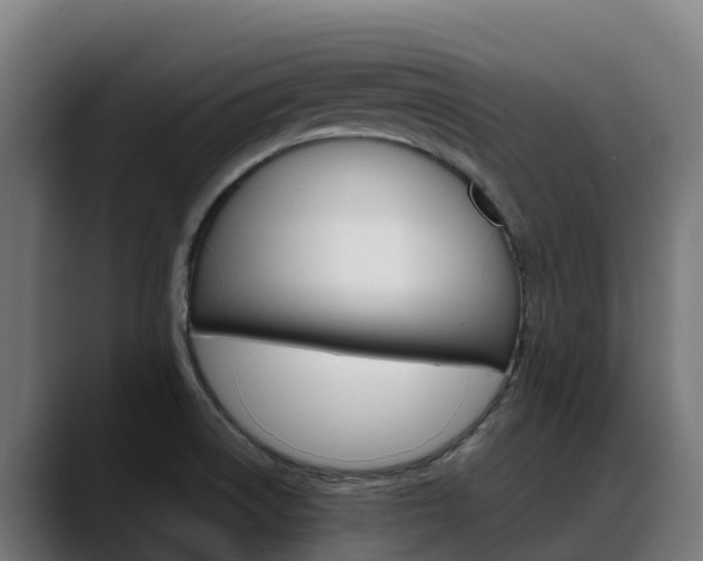 X0000088471522200705291539