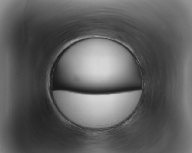 X0000088471523200705291539