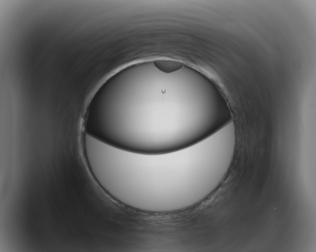 X0000088471524200705291539