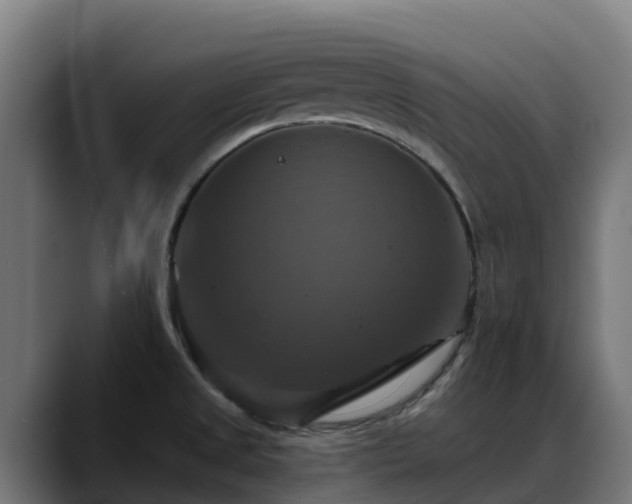X0000088471525200705291539