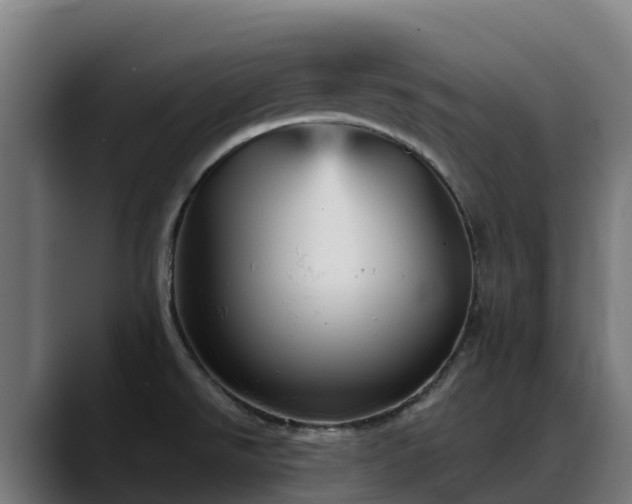 X0000088471526200705291539