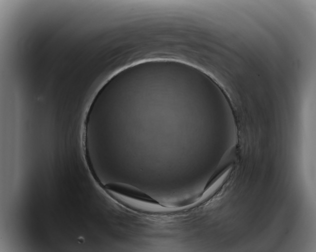 X0000088471527200705291539