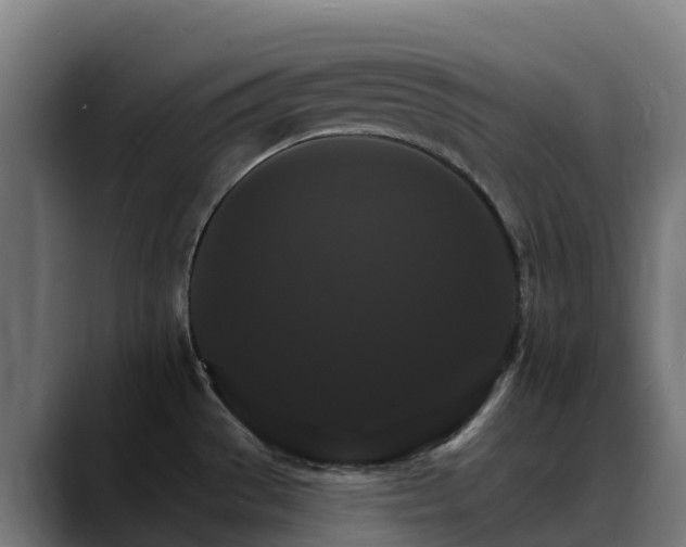 X0000088471529200705291539