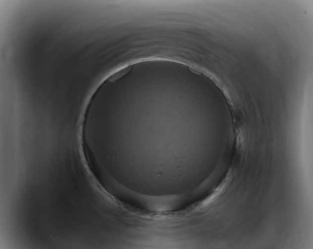 X0000088471530200705291539