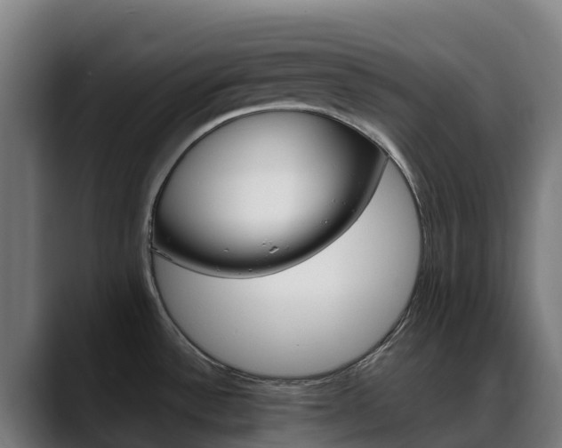 X0000088471532200705291539