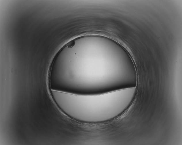X0000088471533200705291539