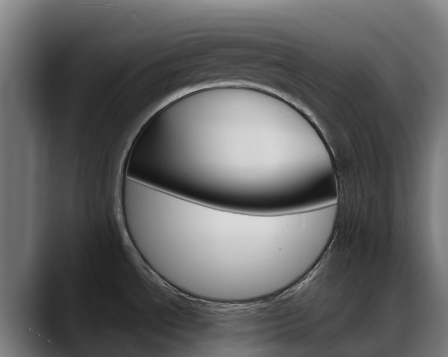 X0000088471534200705291539