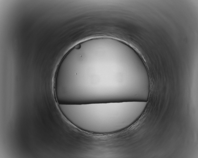 X0000088471535200705291539