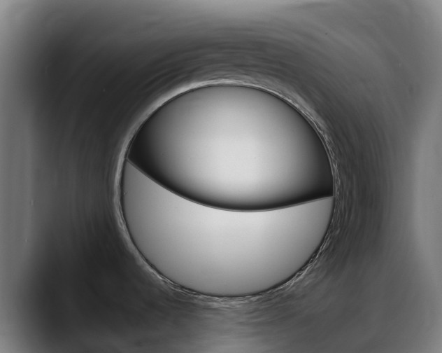 X0000088471536200705291539