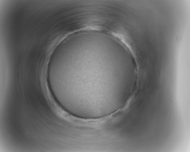 X0000088470001200706051351