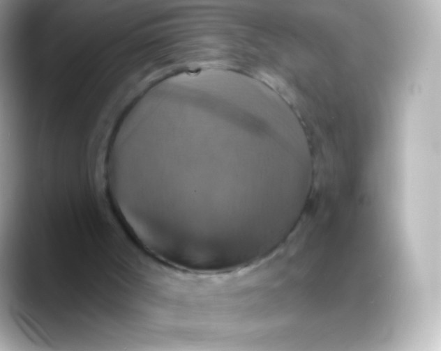 X0000088470002200706051351