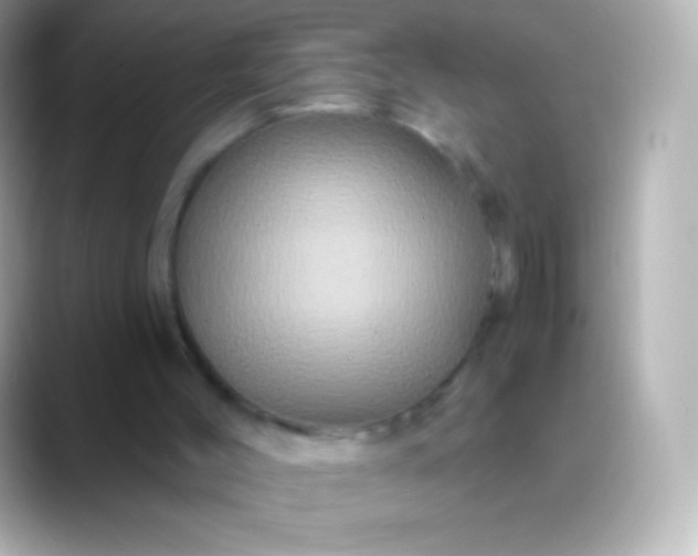 X0000088470004200706051351