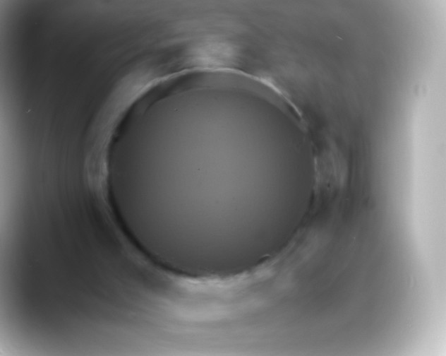 X0000088470005200706051351