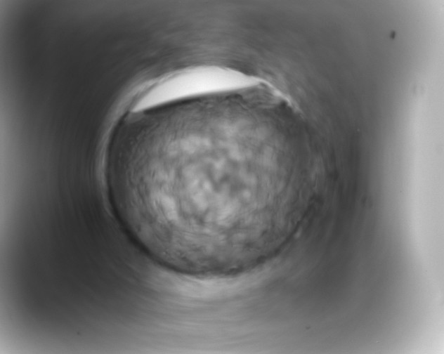 X0000088470006200706051351