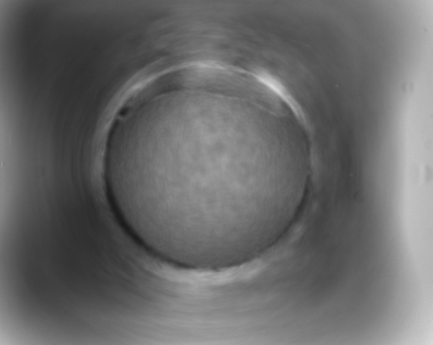 X0000088470007200706051351