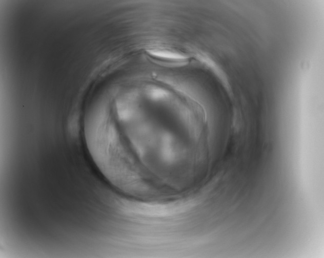 X0000088470010200706051351