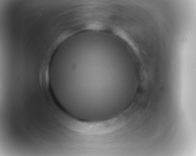 X0000088470011200706051351