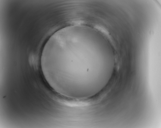 X0000088470012200706051351