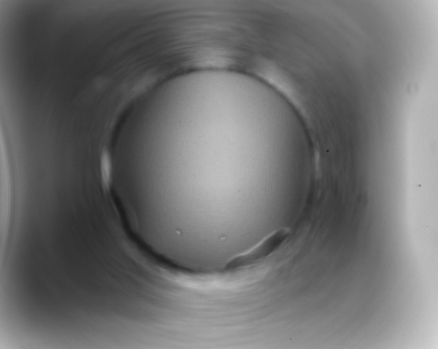 X0000088470013200706051351