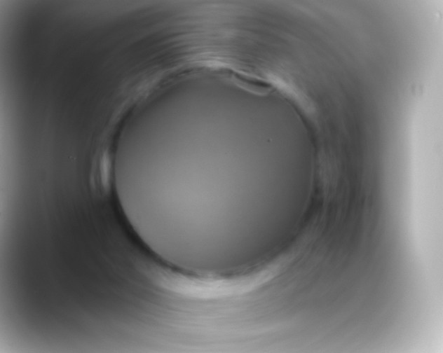 X0000088470014200706051351