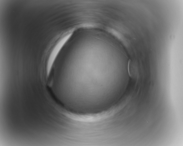 X0000088470015200706051350