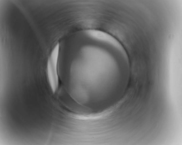 X0000088470017200706051350