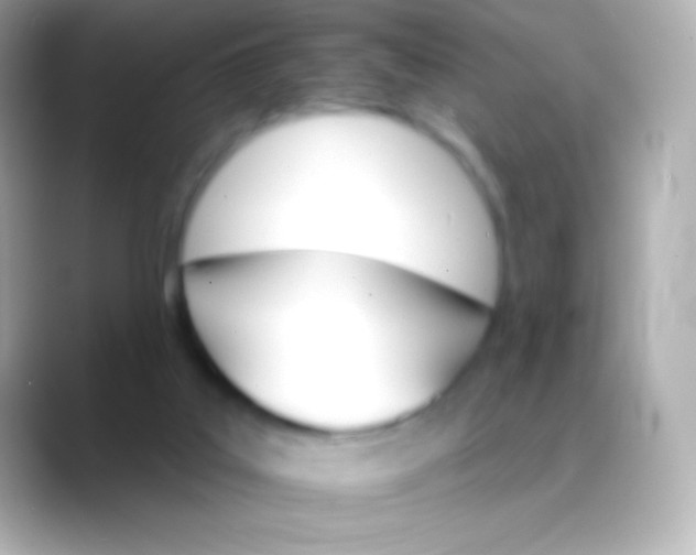 X0000088470019200706051350