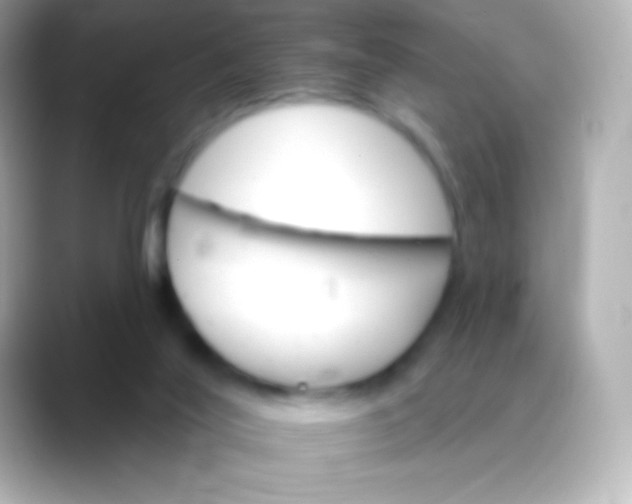 X0000088470020200706051350