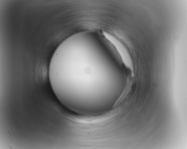 X0000088470021200706051350