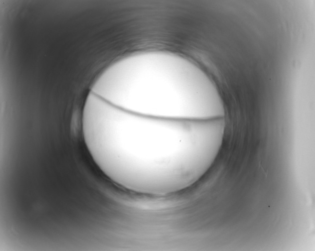 X0000088470024200706051350