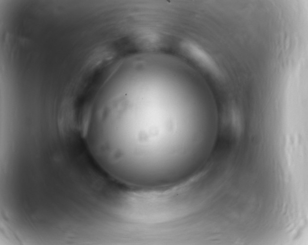 X0000088470025200706051350