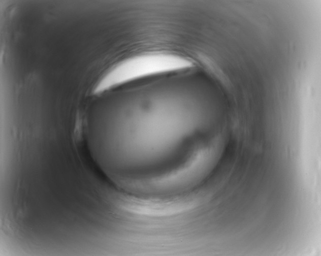 X0000088470026200706051350