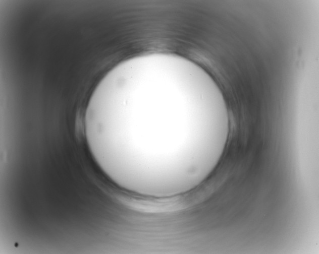 X0000088470028200706051350