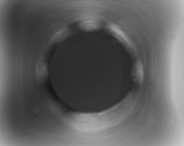 X0000088470029200706051350