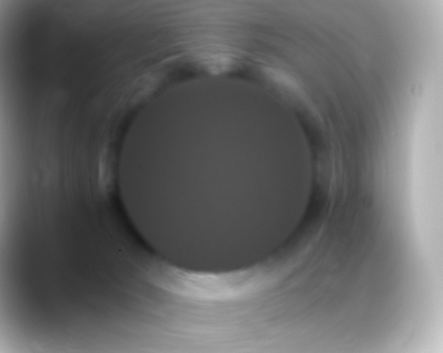 X0000088470030200706051350