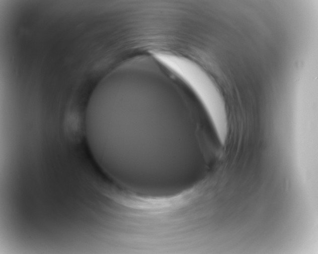 X0000088470031200706051350