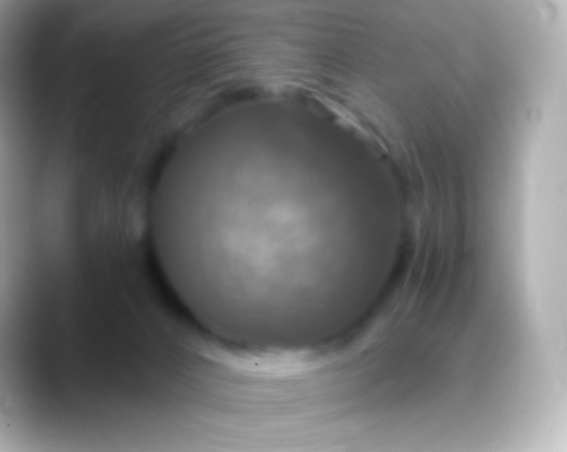 X0000088470032200706051350