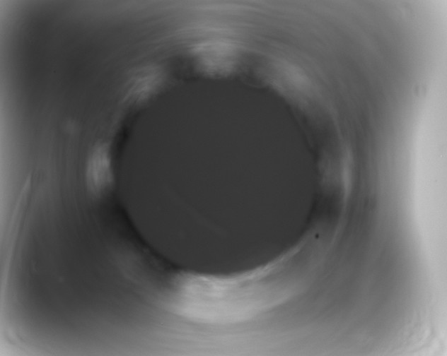 X0000088470033200706051350