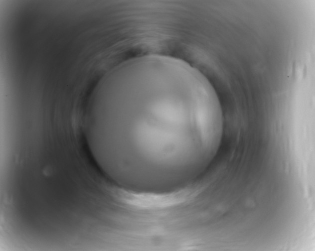 X0000088470034200706051350