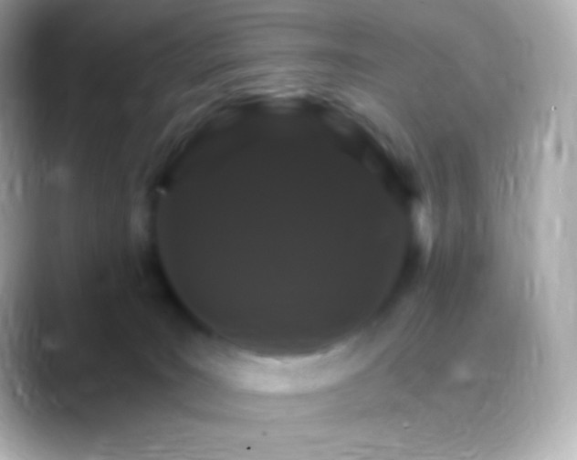 X0000088470035200706051350