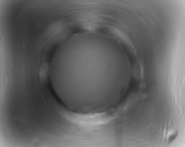 X0000088470036200706051350