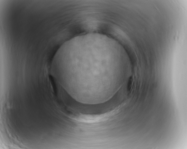 X0000088470037200706051350