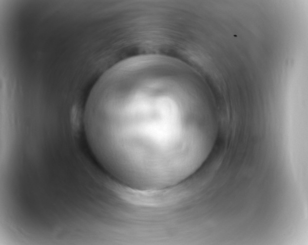 X0000088470038200706051350